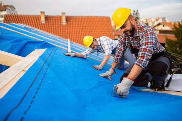 Best Sheet Metal Roofing  in Fredonia, WI