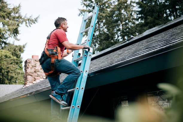 Roof Insulation in Fredonia, WI