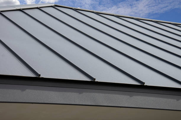 Best Skylight Installation and Repair  in Fredonia, WI